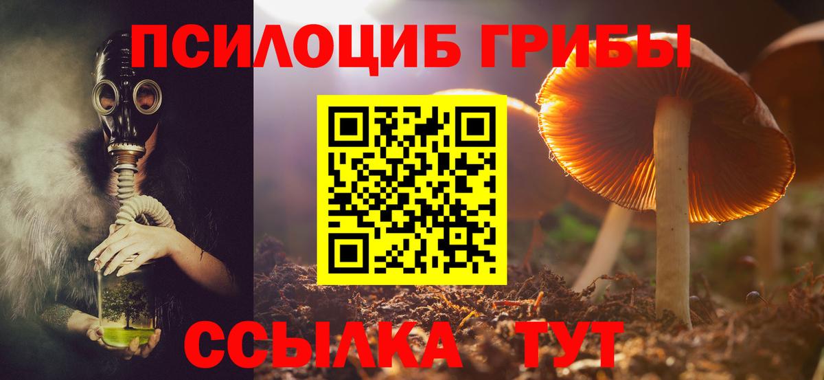 Псилоцибиновые грибы мухоморы Кропоткин
