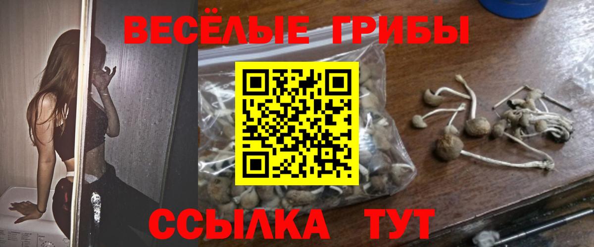 Кропоткин  Псилоцибиновые грибы MAGIC MUSHROOMS  Вход с VPN 